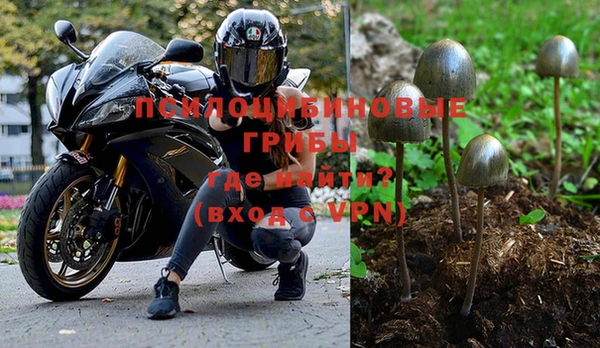 марки nbome Вяземский