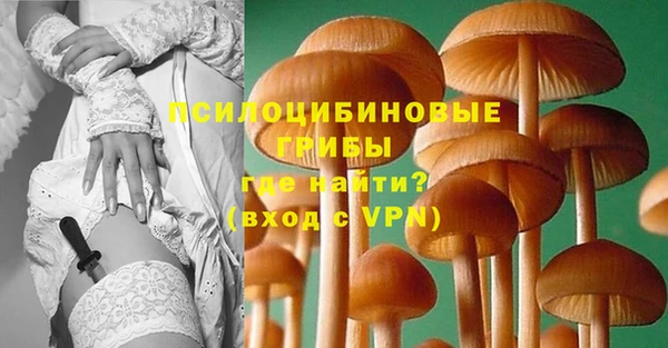 марки nbome Вяземский