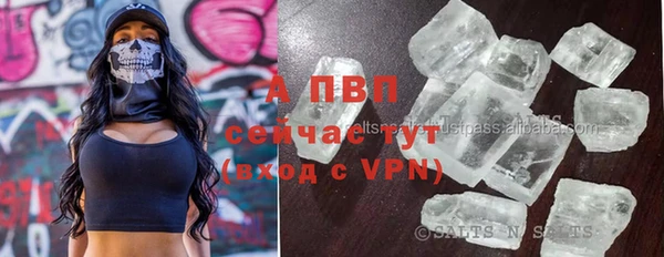 марки nbome Вяземский