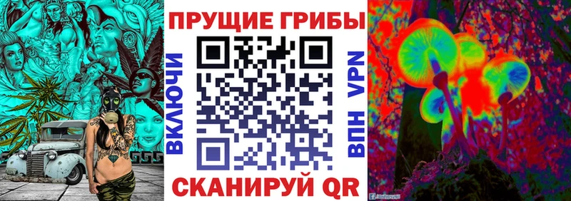 Псилоцибиновые грибы ЛСД  Купить закладки  Шелехов 
